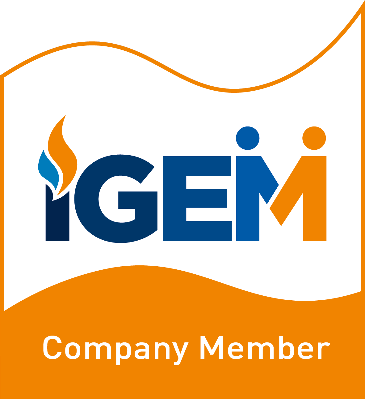 igem_company-member_logo.png